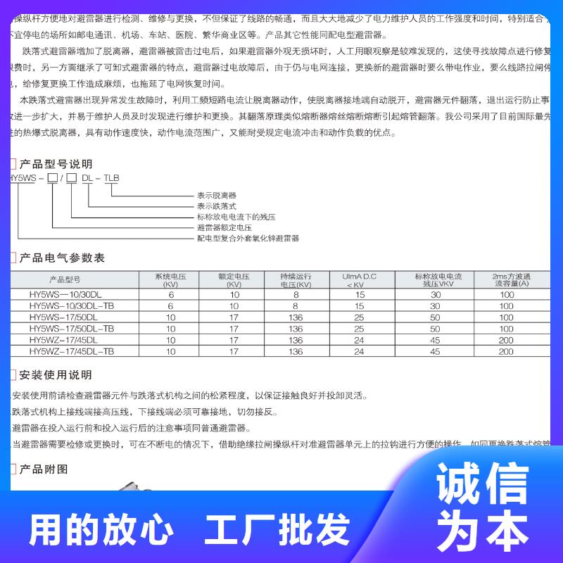 枣庄咨询HY5WS2-10/30金属氧化物避雷器樊高