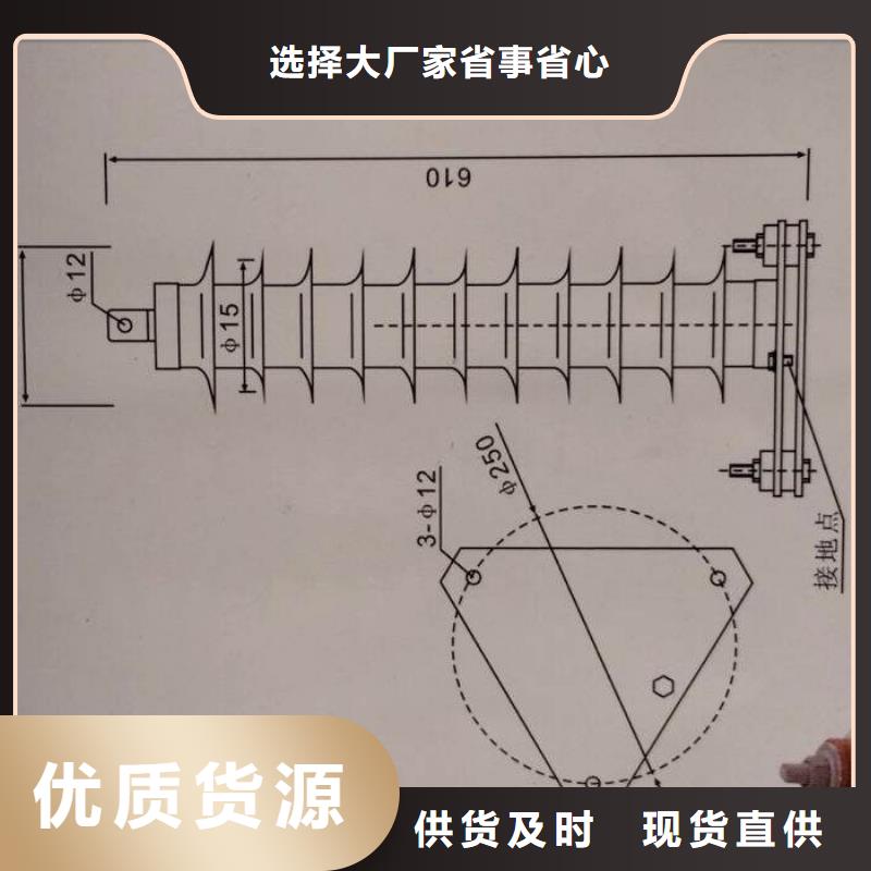 普洱咨询HY5WS-10/30DL-TB跌落式避雷器樊高电气