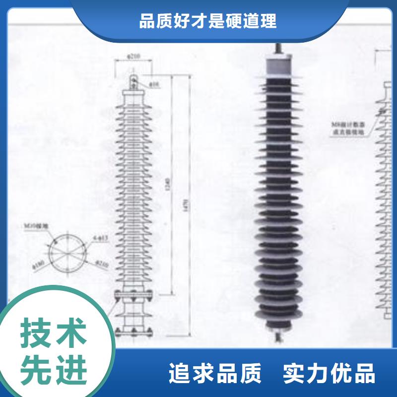 上海直销HY5WS-10/30DL-TB跌落式避雷器樊高电气
