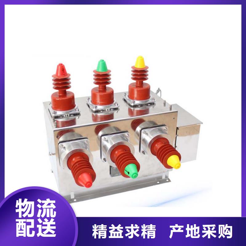 真空断路器大量现货供应