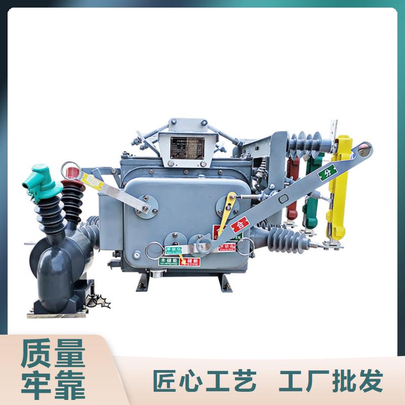 供應真空斷路器_精選廠家