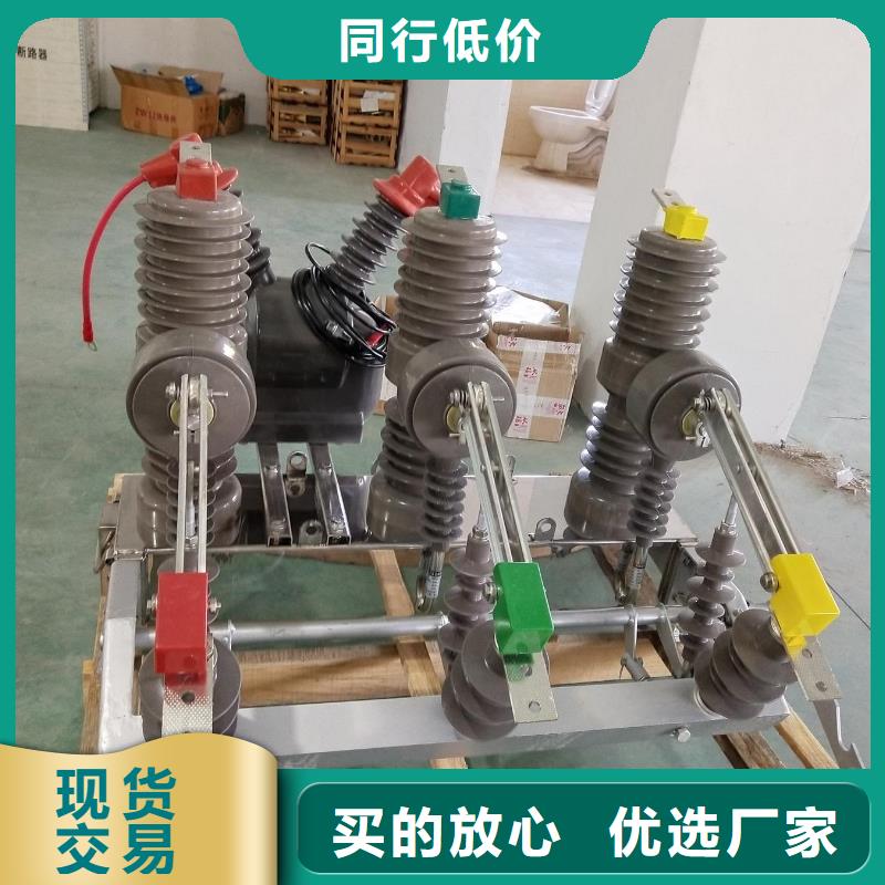 廠家批量供應(yīng)真空斷路器