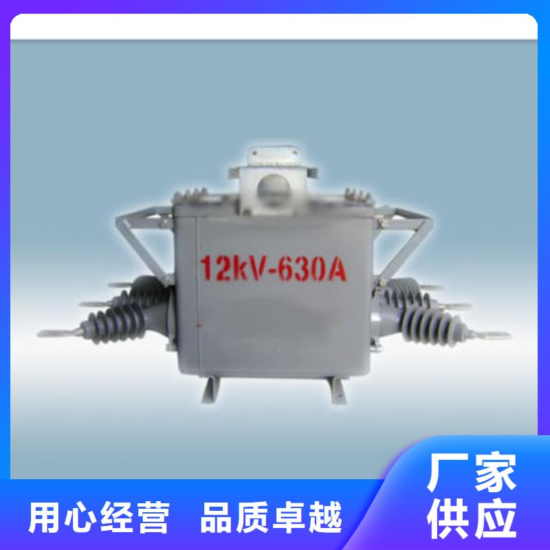 定做真空斷路器的當地廠家