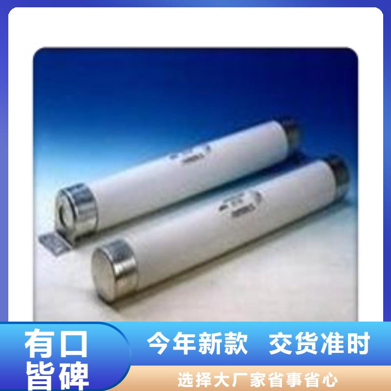XS-10/200A出口型跌落保险丽江购买