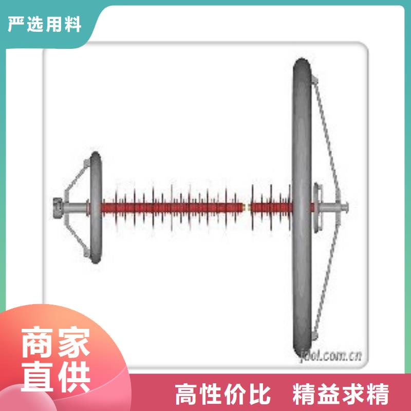 絕緣子-精選廠家