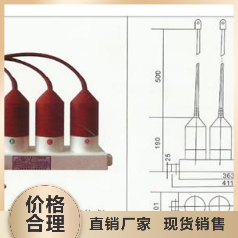 過電壓保護(hù)器廠商