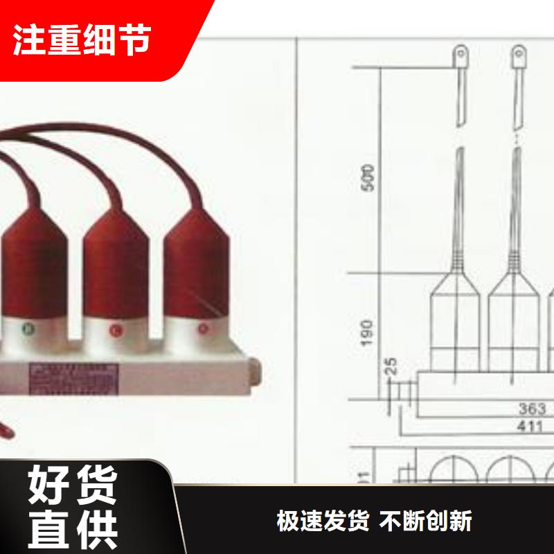 过电压保护器_[樊高电气有限公司]