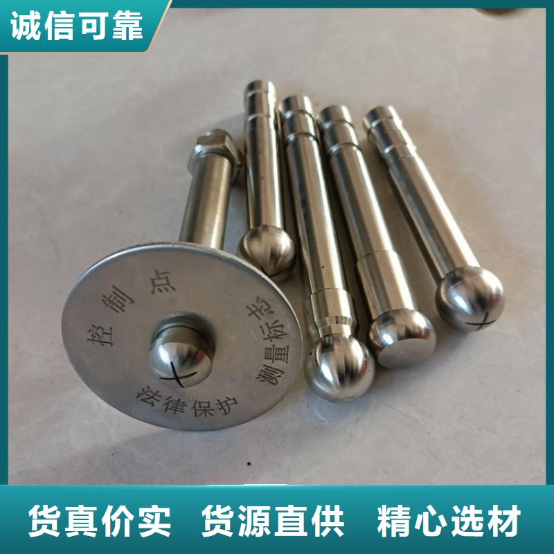 專業銷售觀測標-大型廠家