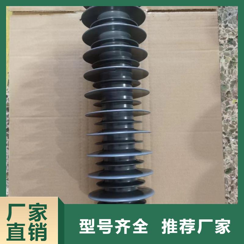 高压氧化锌避雷器重庆市长寿批发价格Y5WX-54/142