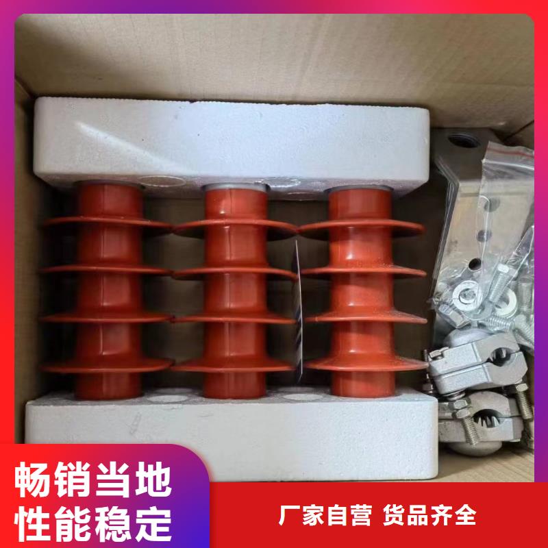 广西省宁明县电机型避雷器Y5WR1-42/134全国发货