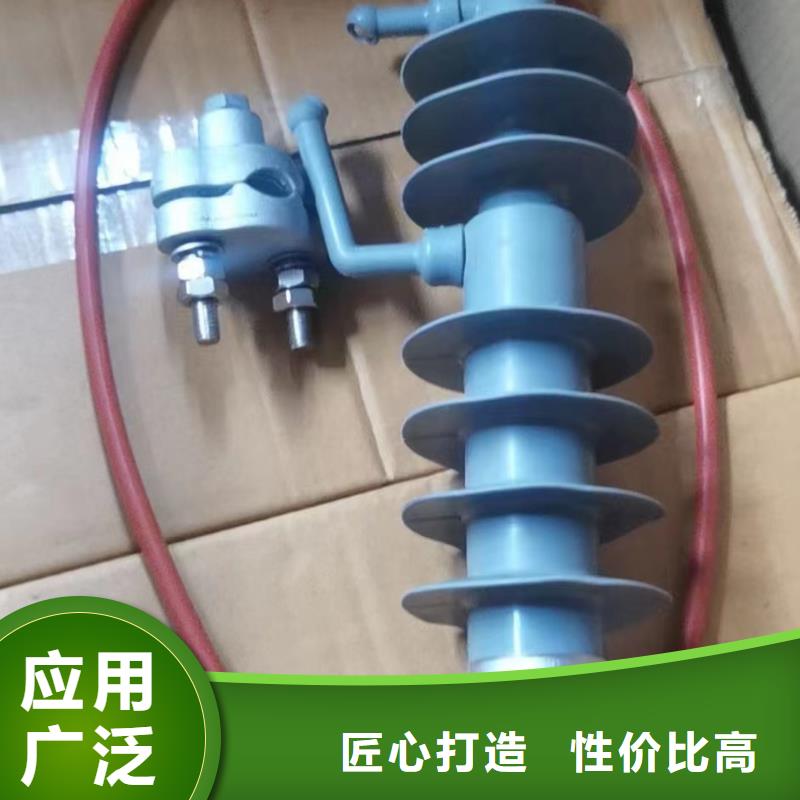 户外高压避雷器滁州生产品质过关Y2.5W-12.7/31