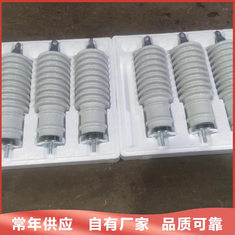 湖南省武岡縣復合避雷器Y10WZ-51/134購買