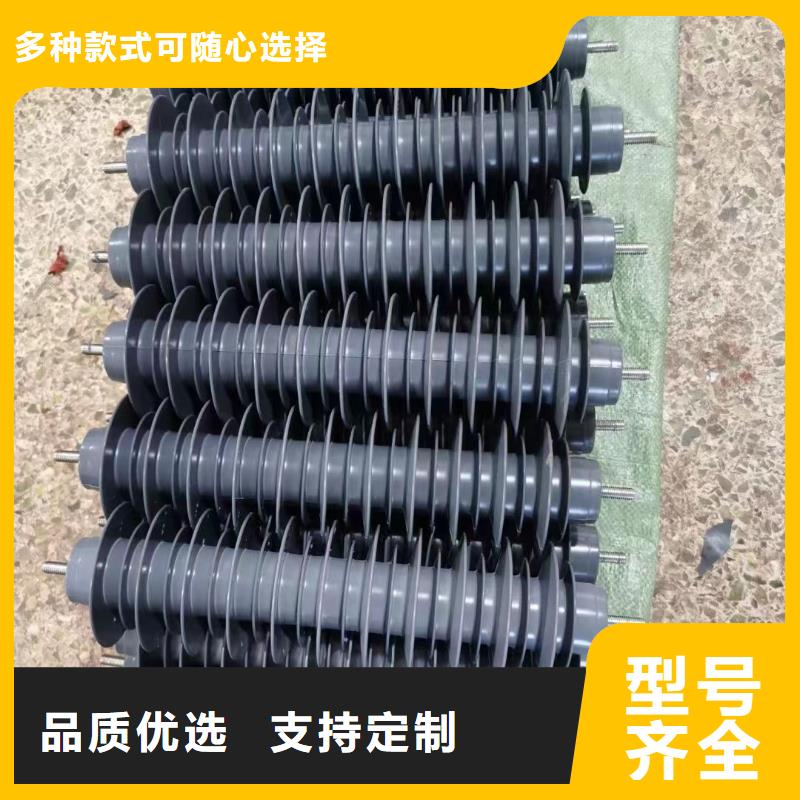 网络避雷器Y10W-100/260G正规厂家西藏拉萨堆龙德庆区