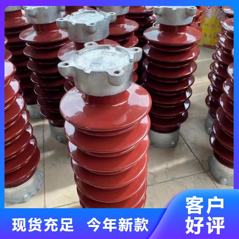 广安市华蓥高压陶瓷绝缘子ZSW2-40.5/800采购