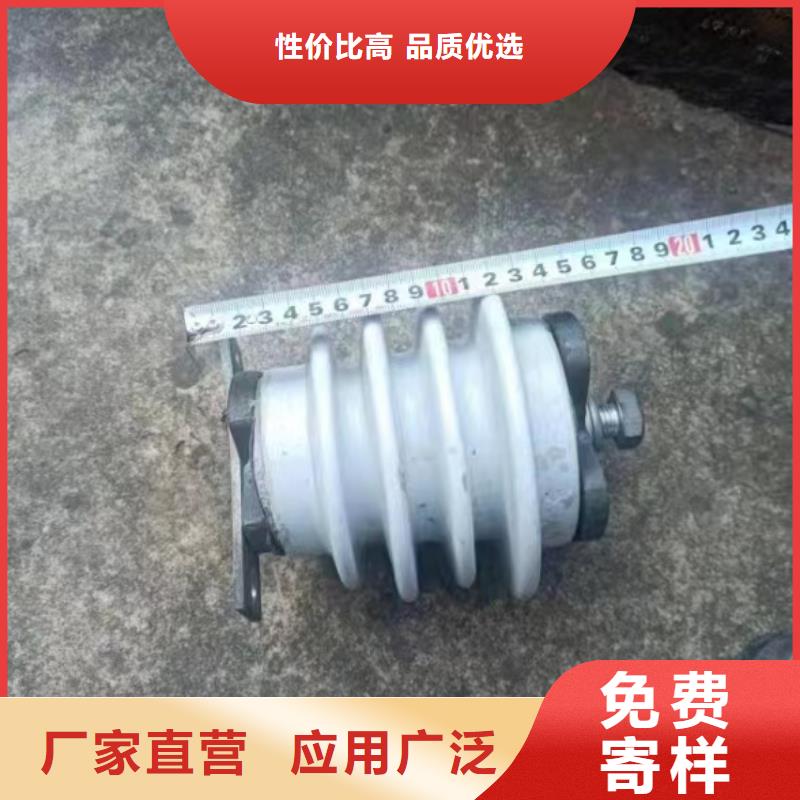 ZS-110/40040.5KV绝缘子种类齐全拒绝中间商