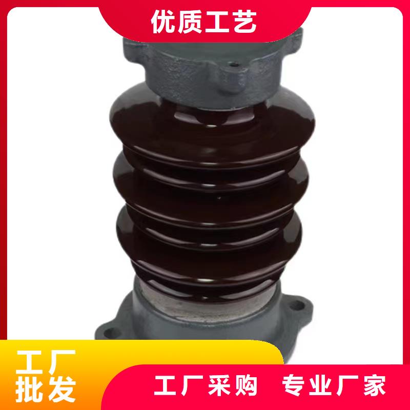 ZSW2-40.5/1000湖南衡阳市衡山县针式瓷瓶订制