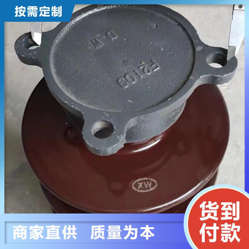衡阳市珠晖支撑瓷瓶ZSW2-35/400品质放心