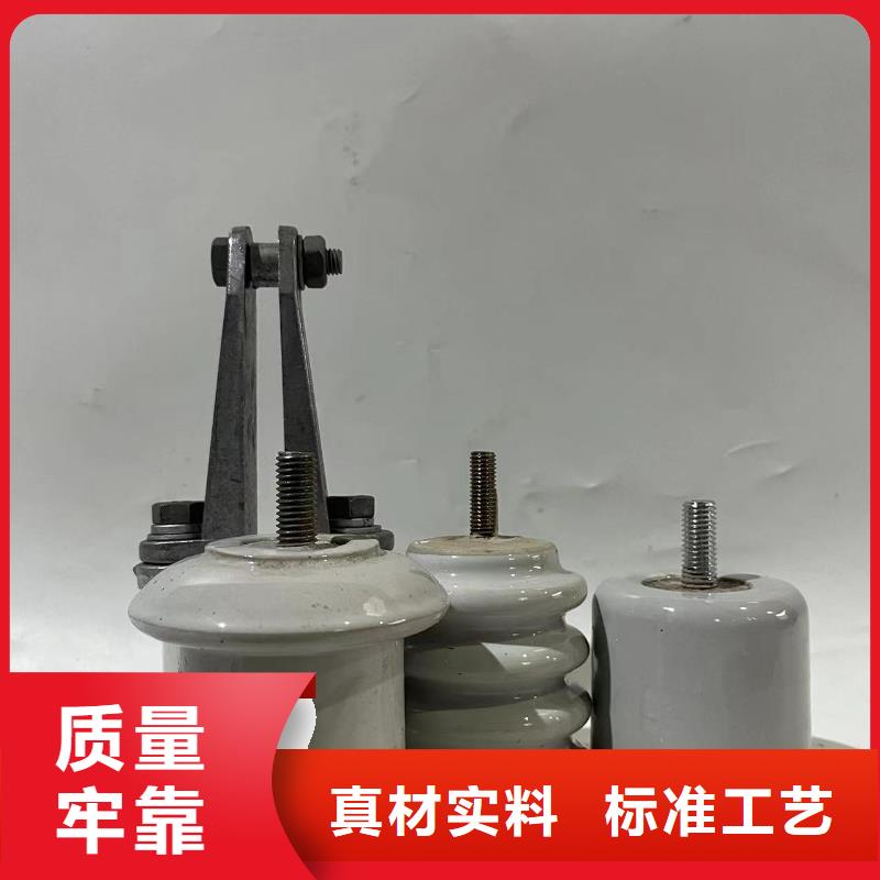 ZSW-1150-20湖南郴州市资兴市陶瓷绝缘子放心购买