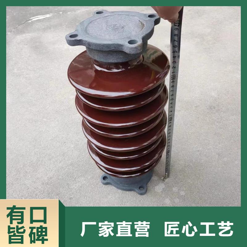 ZSW-110/10福州市陶瓷支柱绝缘子来厂考察