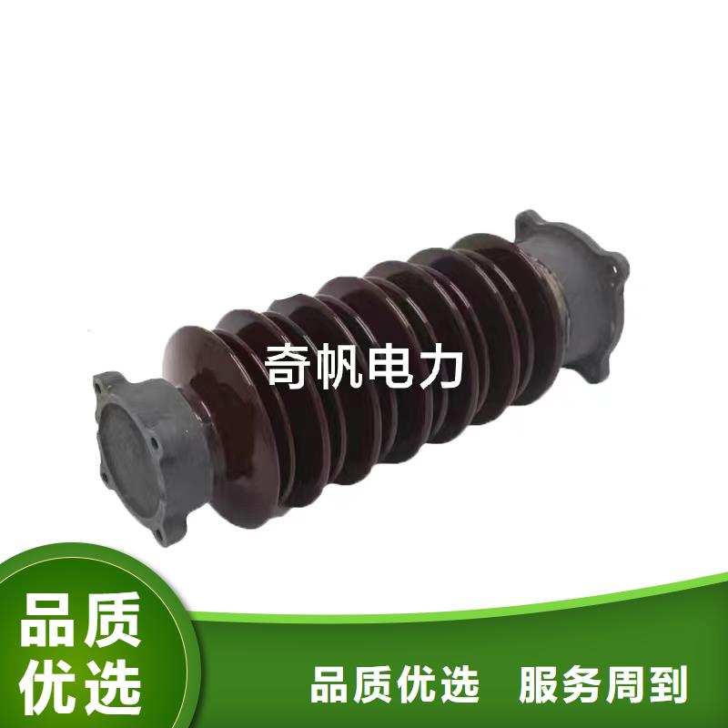 72KV絕緣子ZSW-220/6歡迎來電