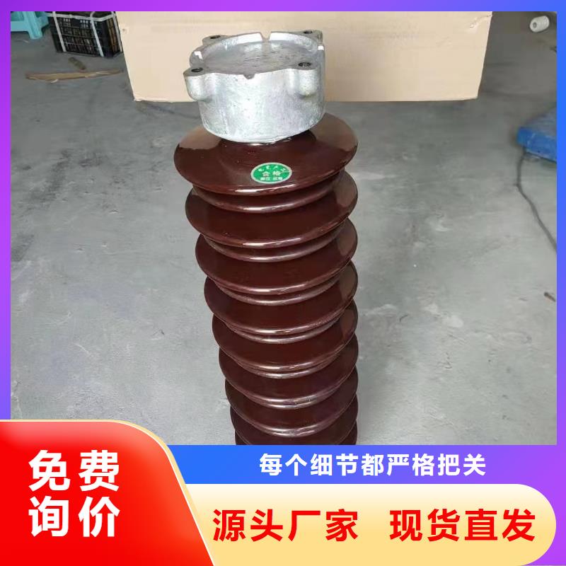 陕西省宝鸡市金台ZSW-20/1600支撑瓷瓶直供厂家
