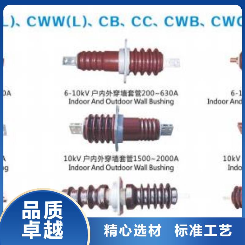 CWC-20/315010KV高压陶瓷穿墙套管价格行情镇江丹阳