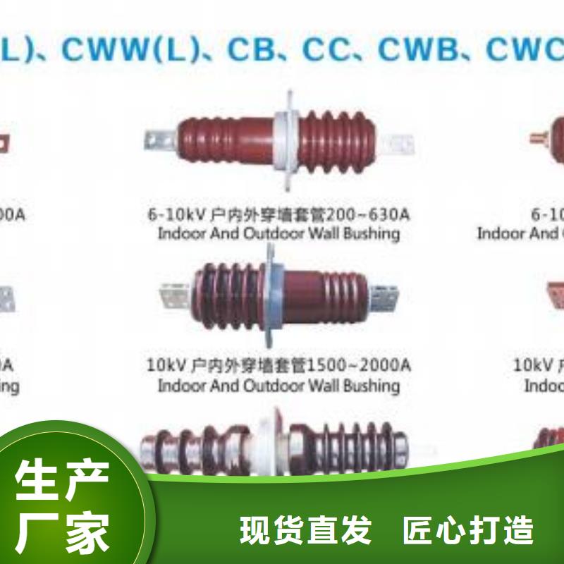 CWWL-20/4000A母线穿墙套管支持定制日喀则谢通门