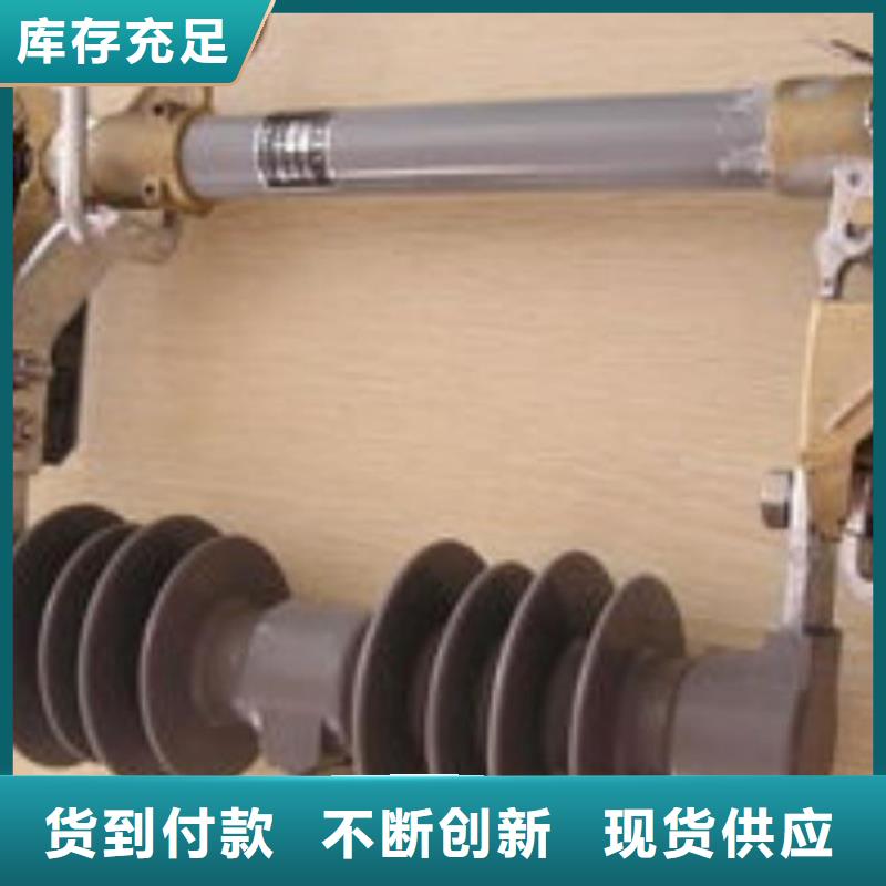 石家莊市藁城跌落式熔斷器RW12-15/200供應(yīng)