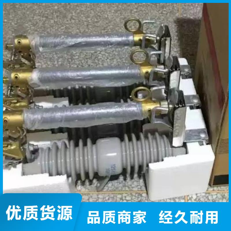 岳陽市湘陰跌落式熔斷器RW5-35/100A實體廠家