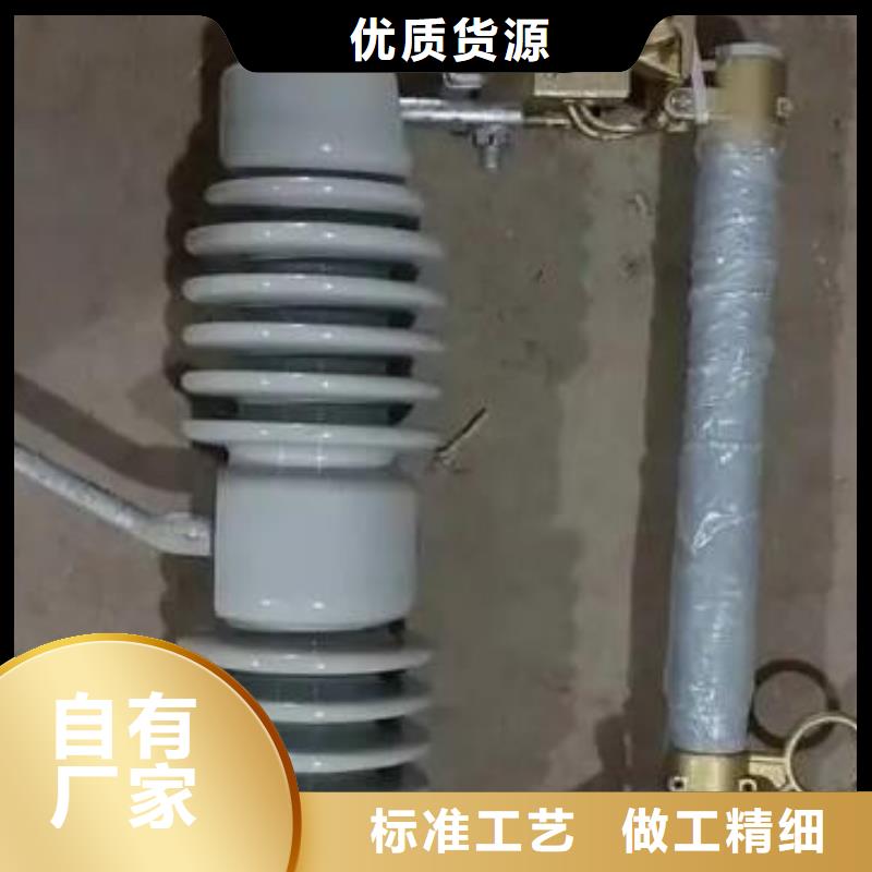跌落式熔断器HRW12-10/100A量大从优广东省汕头市溪南镇