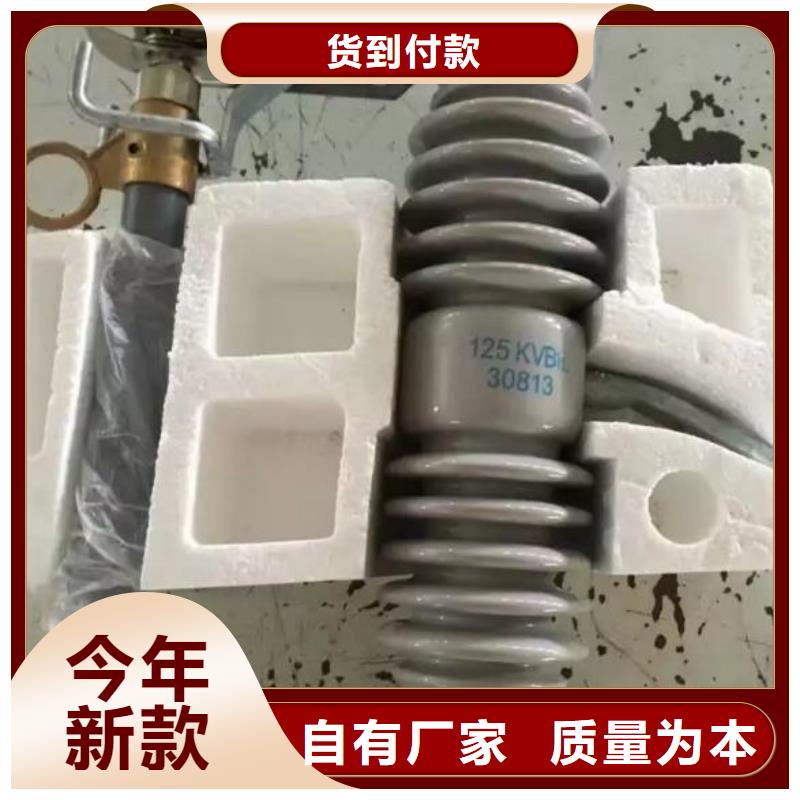 跌落保险RW12-24/200A施工上海市长宁