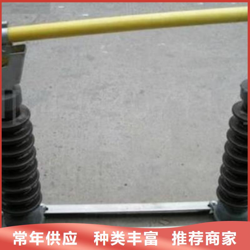 跌落式熔斷器PRW12-36/200A質量優