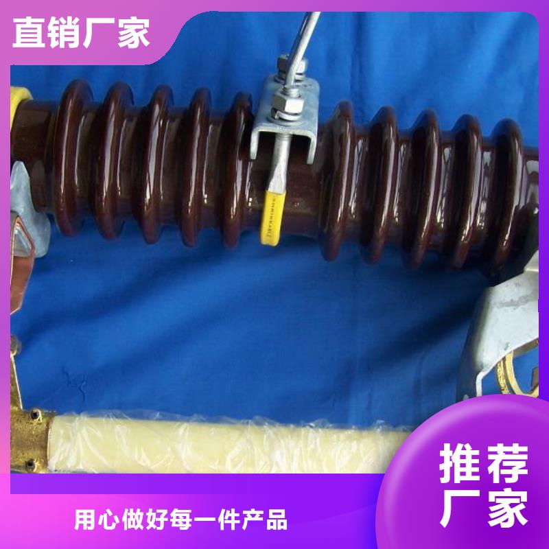 RW3-10/200跌落式熔斷器rw12實力廠家江蘇省南京市鼓樓區