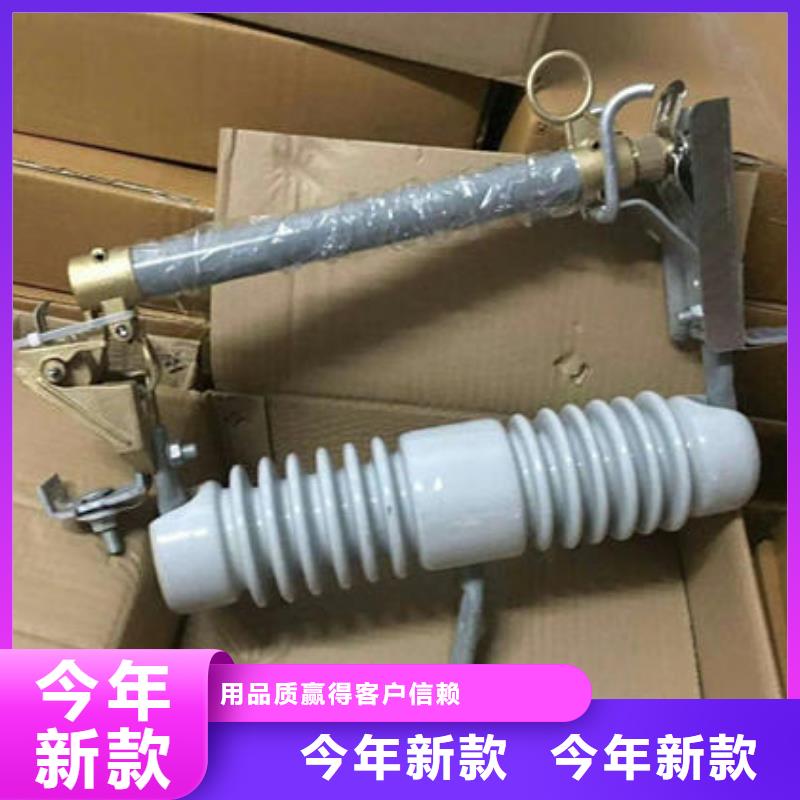 韶關市仁化跌落式熔斷器rw12PRW12-15/200實力廠家