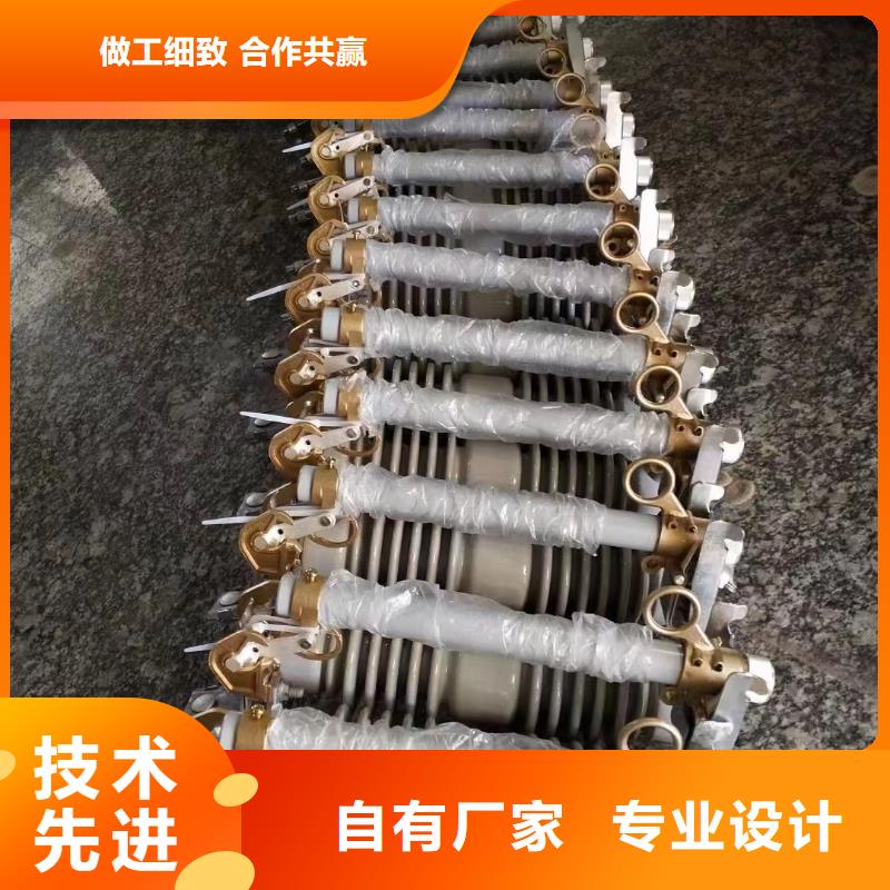 跌落式熔断器HRW7-10/100厂家直供陕西省西安市户县