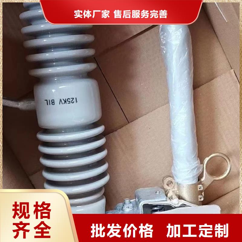 跌落式熔断器PRW12-15/100A价格优惠广东省汕头市广厦街道