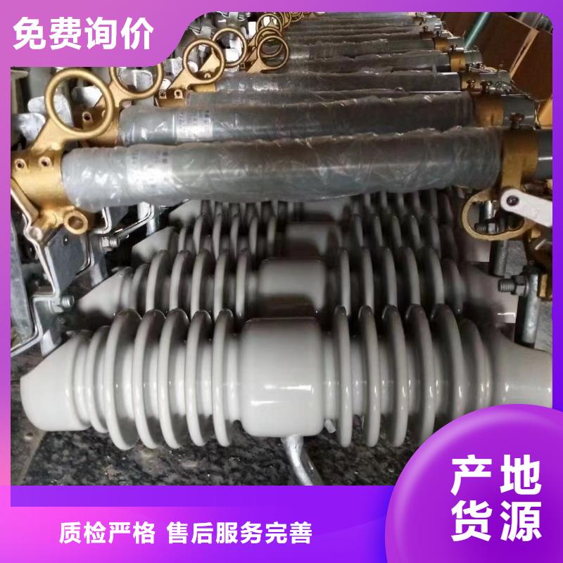 户外高压跌落式熔断器RW10-10F/100A服务为先广东省佛山市张槎街道