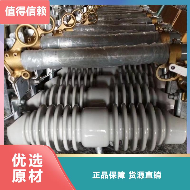 跌落式熔断器PRWG2-35/100实体大厂广东省珠海市航空产业园区
