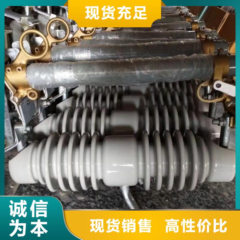 跌落式熔断器PRW12-15/100A价格优惠广东省汕头市广厦街道