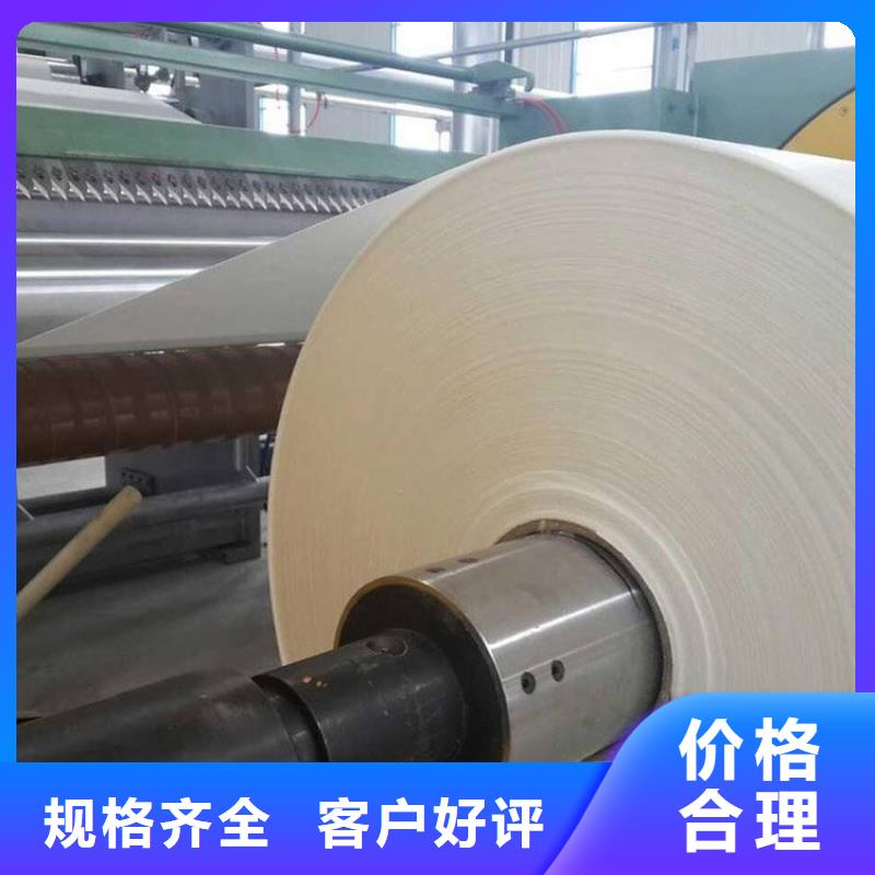 高分子防水抗裂基布生產廠家