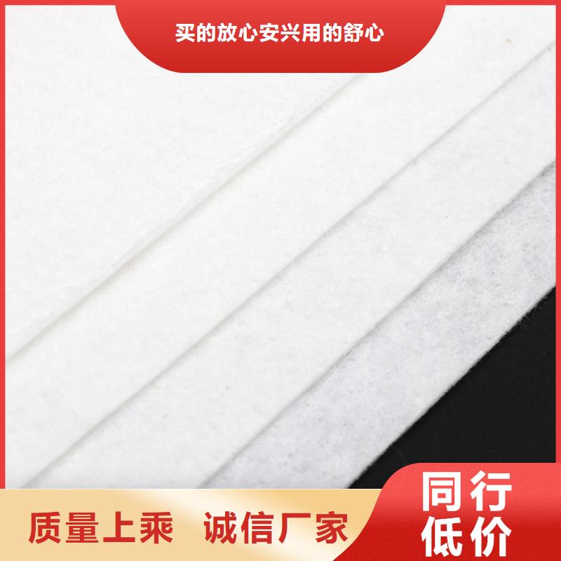 道路高性能聚酯纖維布供應商