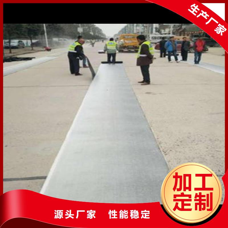 路面网裂抗裂贴