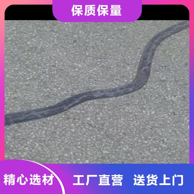 無紡布貼縫帶來廠考察