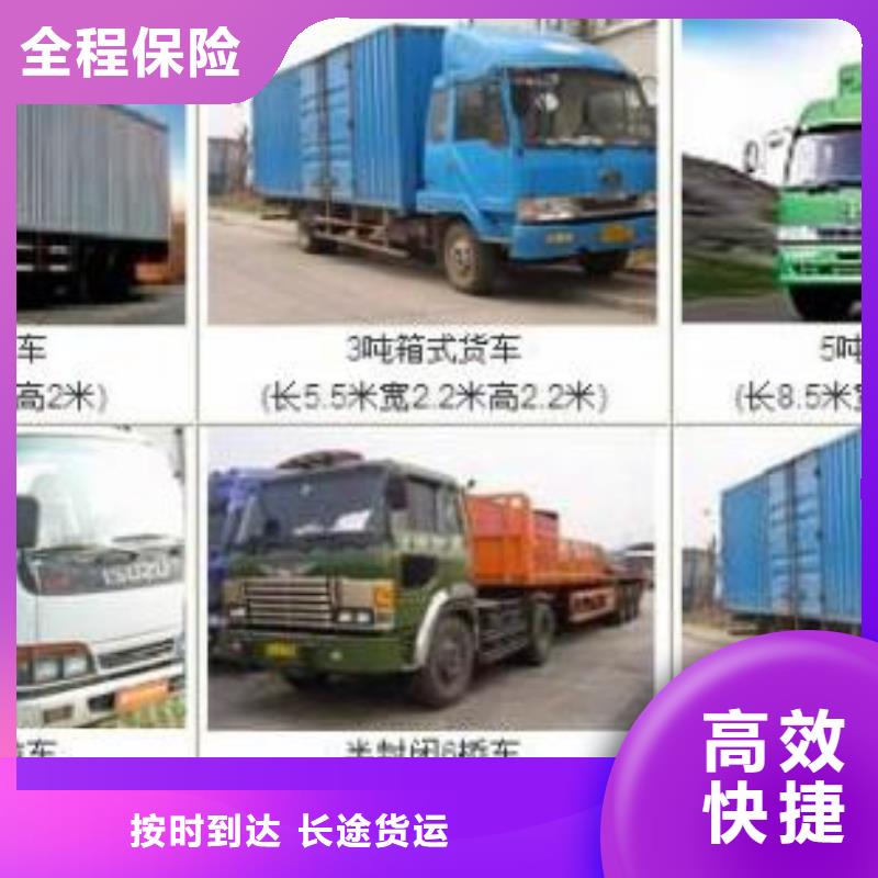 重庆到《温州》定制货运回程车整车运输公司2024已更新(今日/返程车回访)