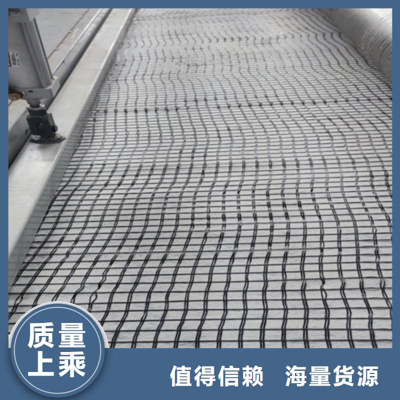 鋼塑土工格柵多錢一噸同城貨源