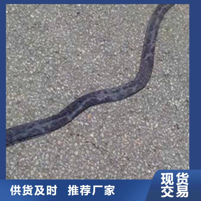 貼縫帶廠家生產有胎；無胎；單面；雙面粘接力度強