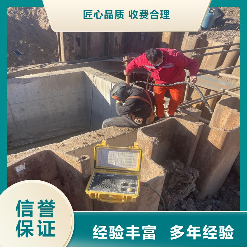 吴忠市桥桩桥墩水下检测录像公司 苏龙专业潜水施工团队