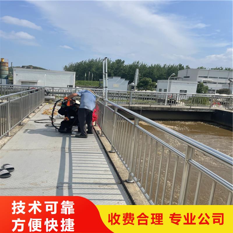 扬州找桥桩桥墩水下检测录像公司 蛙人作业队