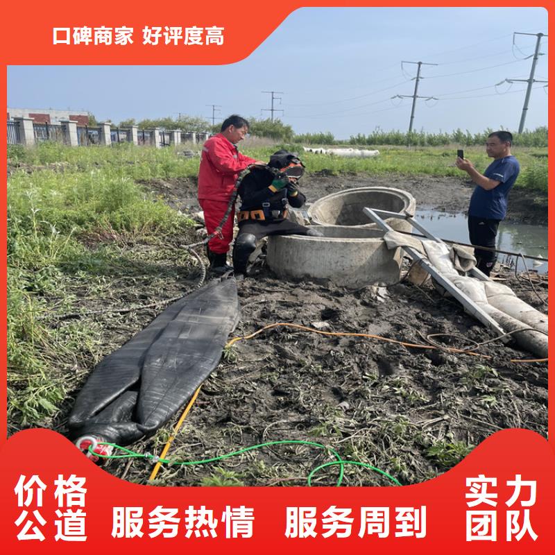 [扬州]实力公司<苏龙>水下救援队 潜水工程施工单位