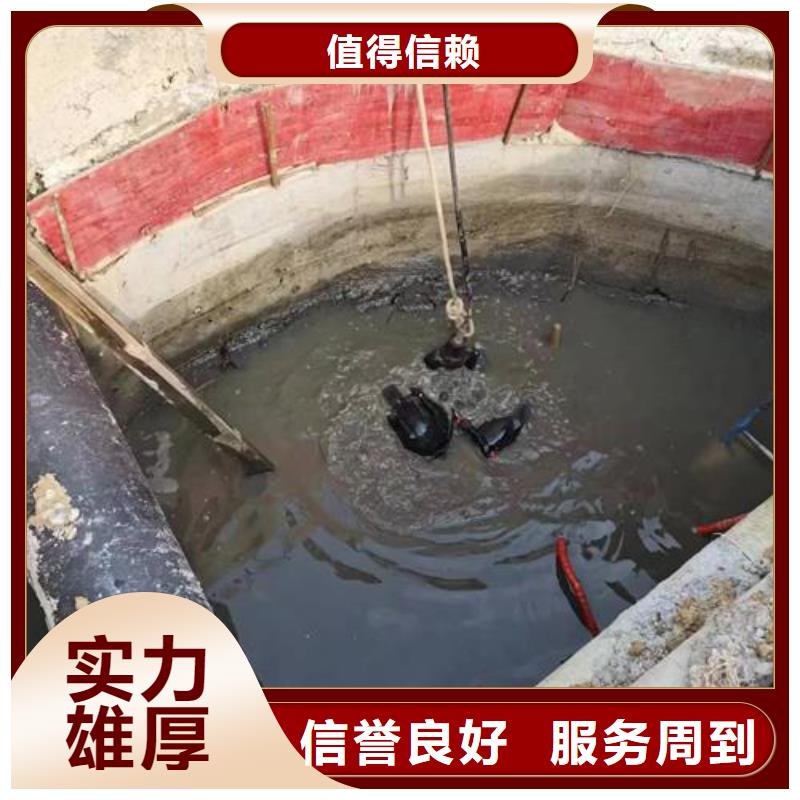 芜湖市蛙人水下作业服务-水下检修探摸